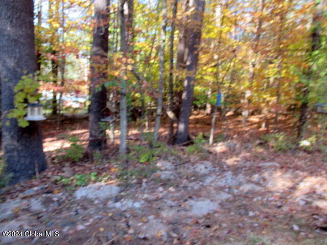 41 Gage Hill Road Lake Luzerne, NY 12846 - Photo 14 of 79 IMG_2228