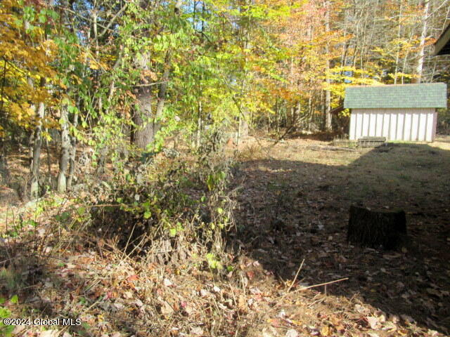 41 Gage Hill Road Lake Luzerne, NY 12846 - Photo 17 of 79 IMG_2231