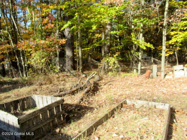 41 Gage Hill Road Lake Luzerne, NY 12846 - Photo 20 of 79 IMG_2234