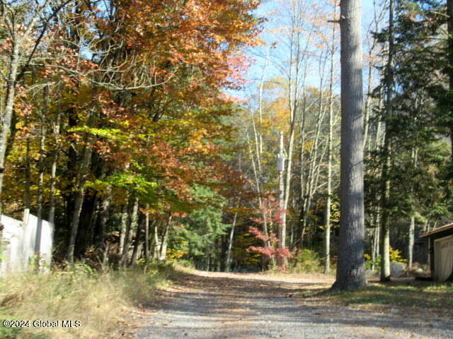 41 Gage Hill Road Lake Luzerne, NY 12846 - Photo 2 of 79 IMG_2214