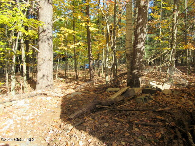 41 Gage Hill Road Lake Luzerne, NY 12846 - Photo 21 of 79 IMG_2235