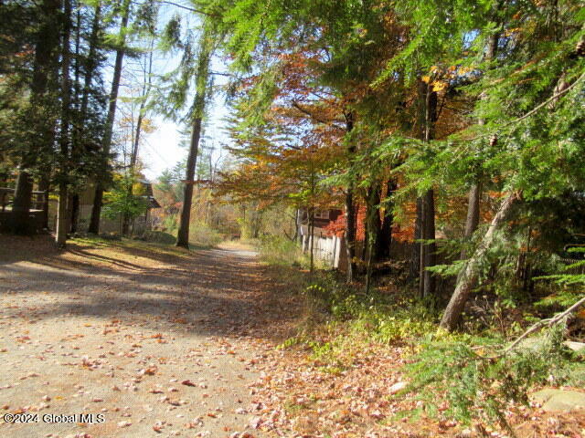 41 Gage Hill Road Lake Luzerne, NY 12846 - Photo 3 of 79 IMG_2215