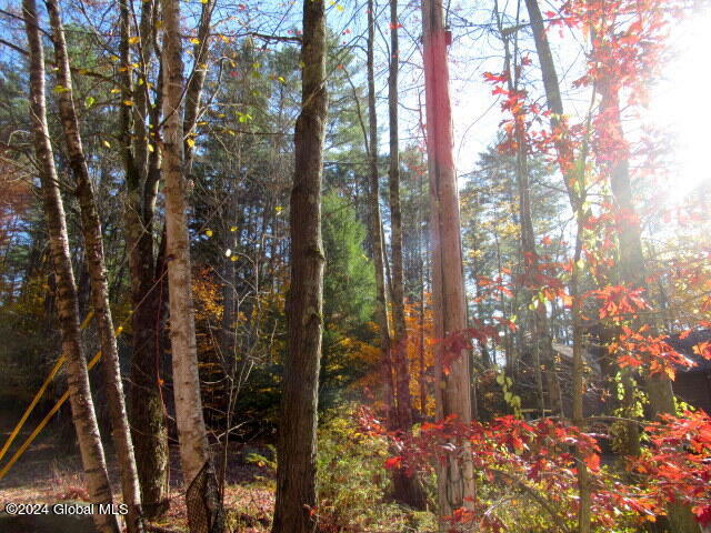 41 Gage Hill Road Lake Luzerne, NY 12846 - Photo 4 of 79 IMG_2216