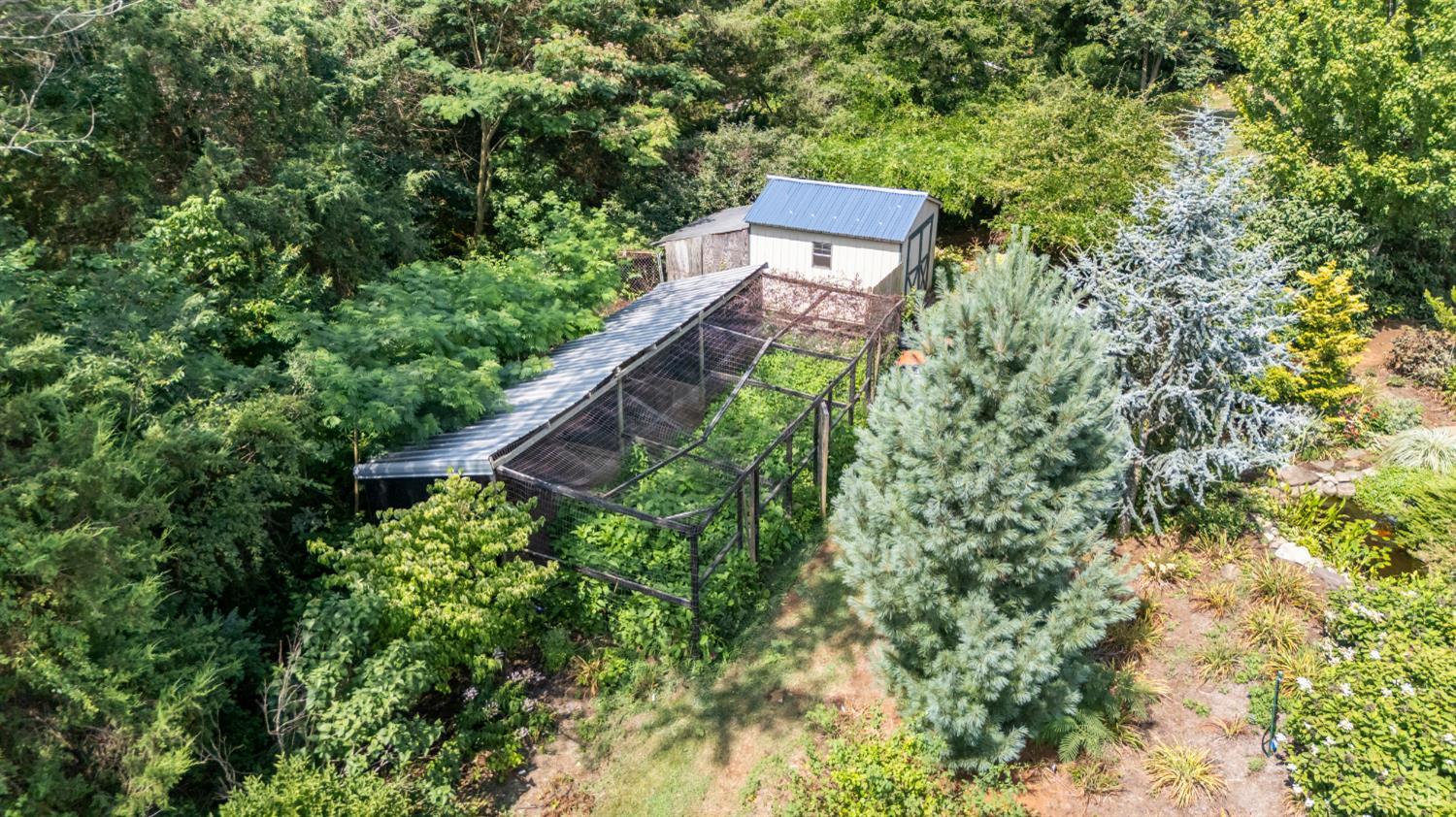 3227 Elon Road Monroe, VA 24574 - Photo 39 of 57