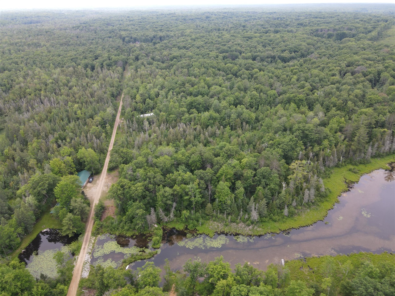 11401 Little George Lake Road Gladwin, MI 48624 - Photo 30 of 98