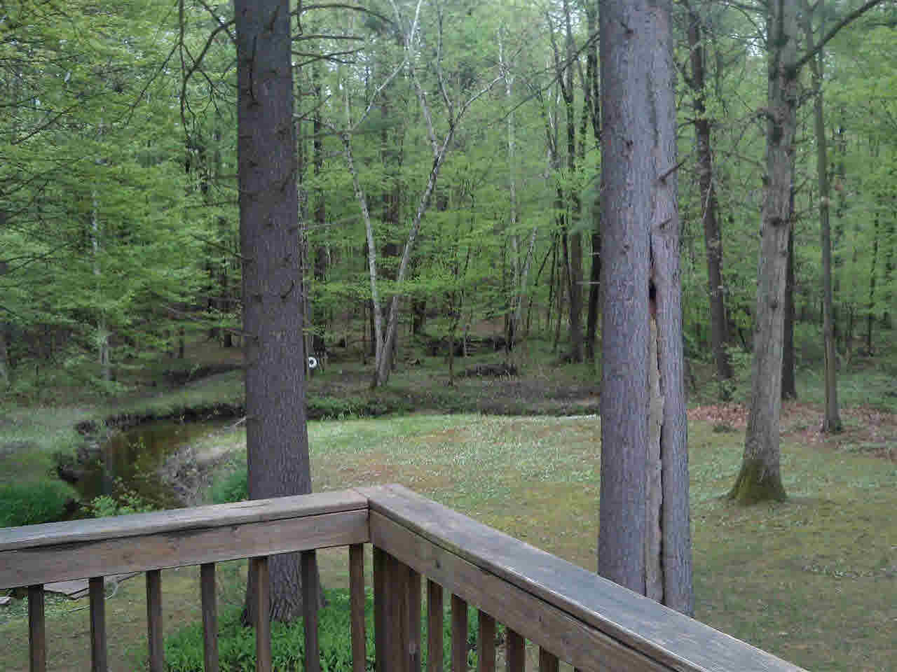 10185 South Lewis Road Clio, MI 48420 - Photo 20 of 26 21448175-19.JPG
