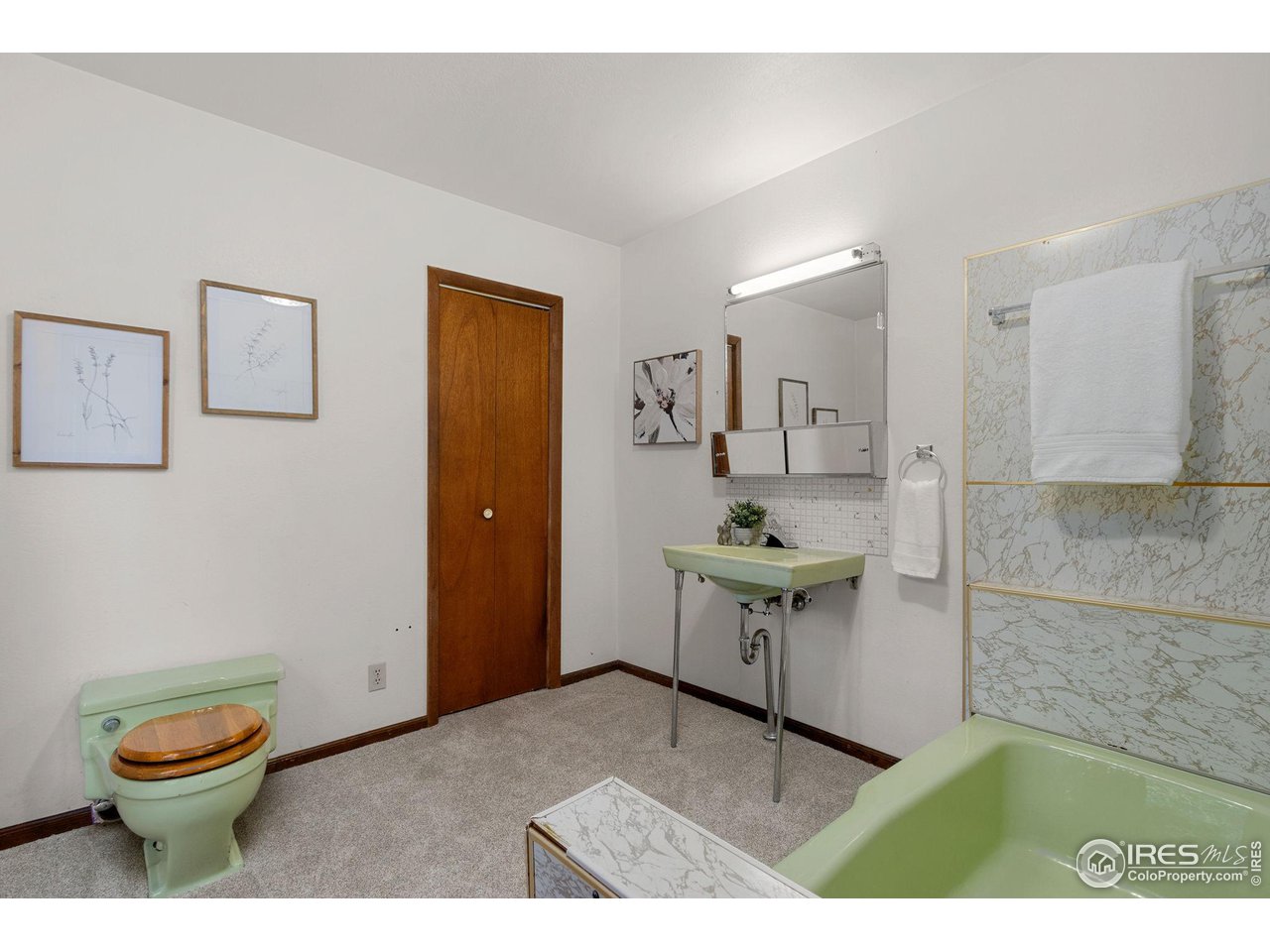 1234 Maple Street Fort Collins, CO 80521 - Photo 15 of 21 Bathroom 2