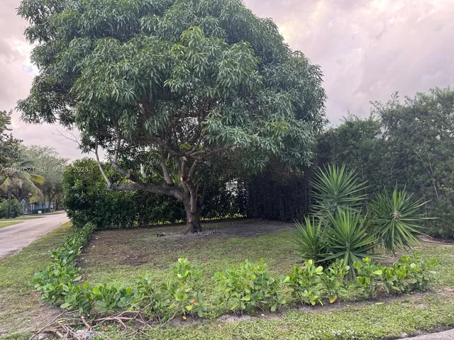 a view of outdoor space and garden