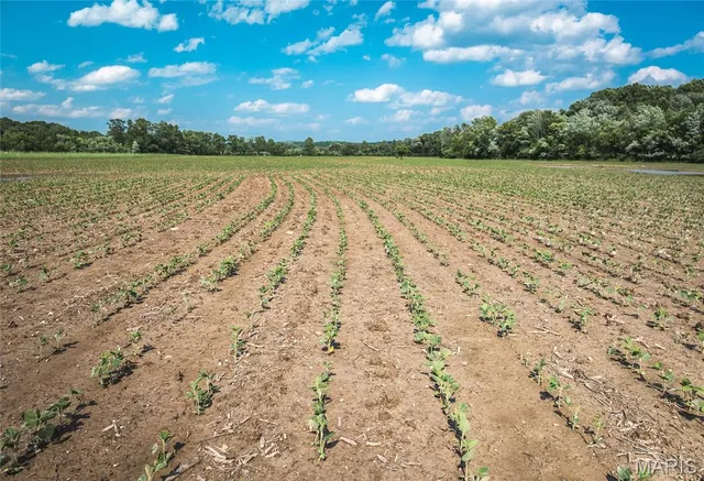 $60,000 | 0 Shawneetown Ford Road, Union, MO 63084