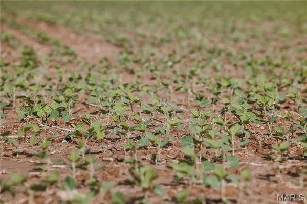 $60,000 | 0 Shawneetown Ford Road, Union, MO 63084