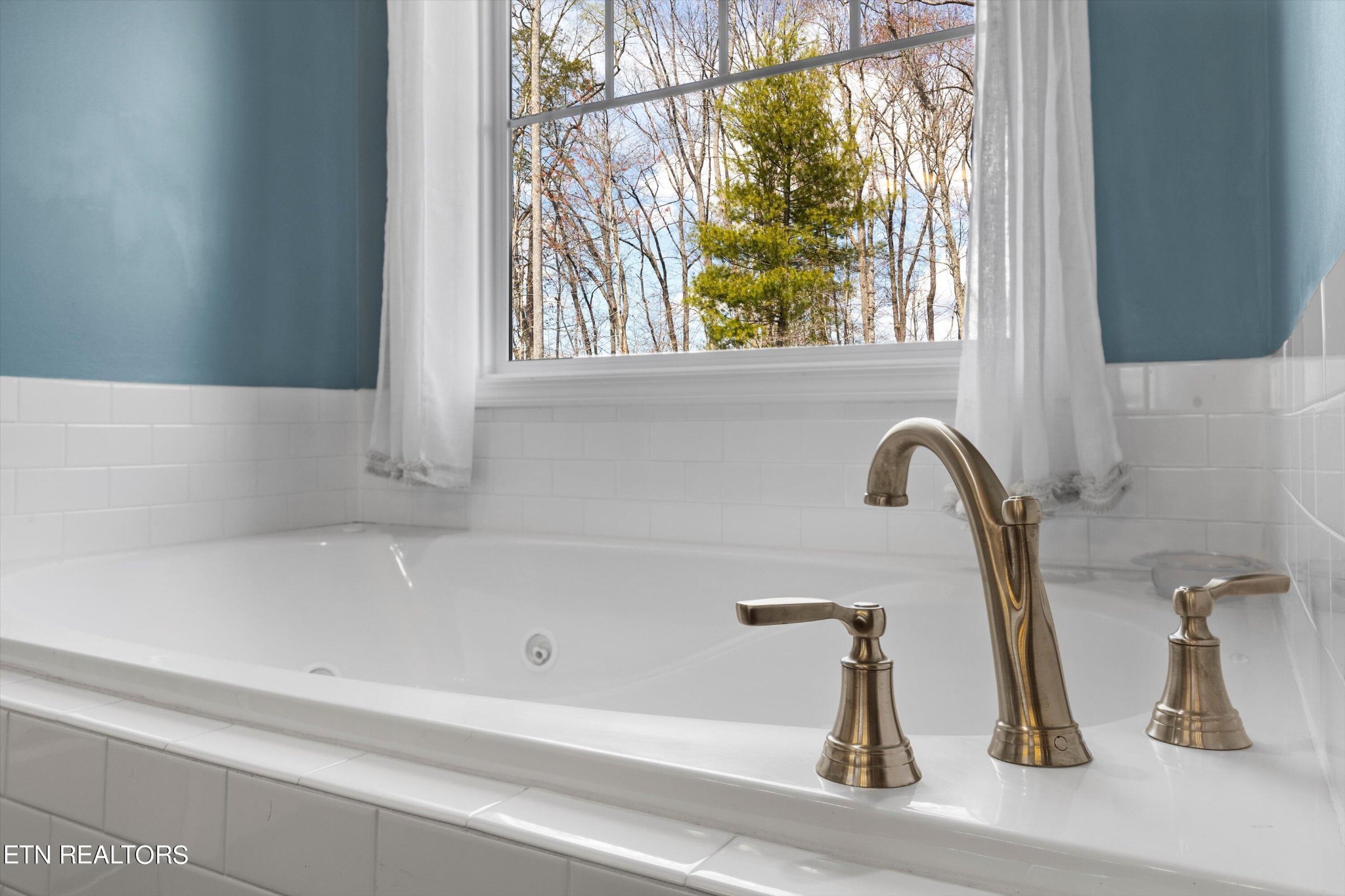 104 Mistletoeberry Road Oak Ridge, TN 37830 - Photo 31 of 51 Gallery Image 31