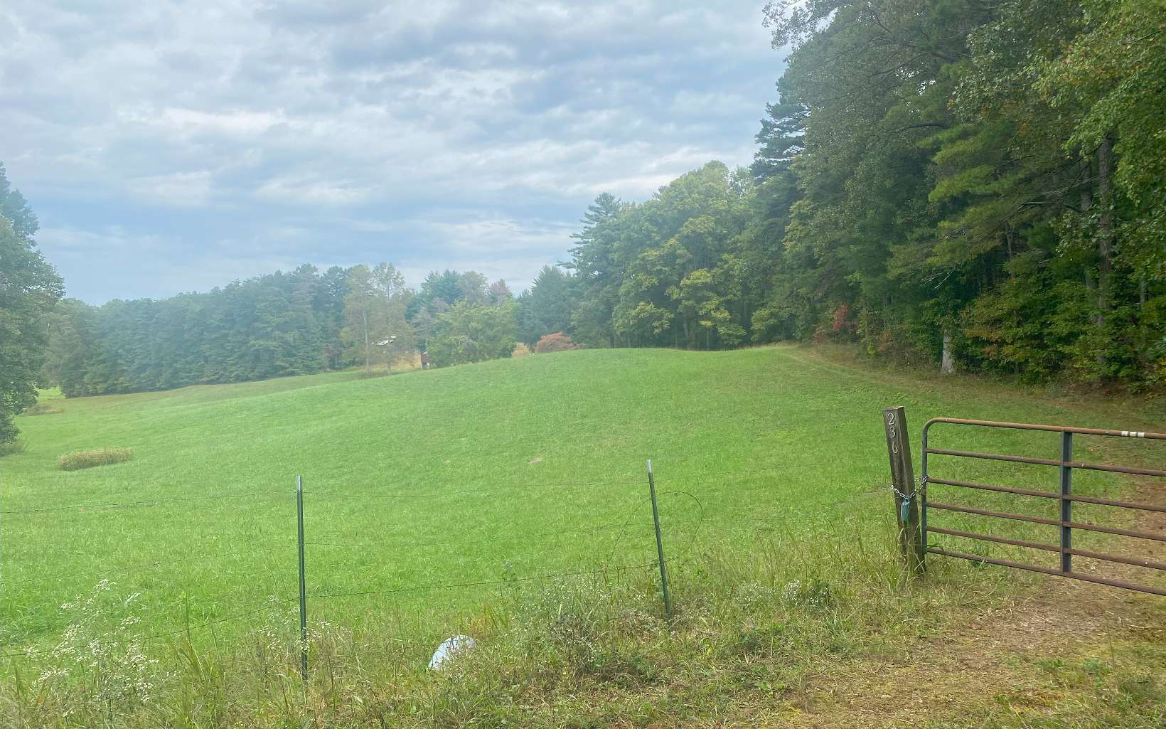 236 Willard Boring Road Murphy, NC 28906 - Photo 1 of 33 Main View