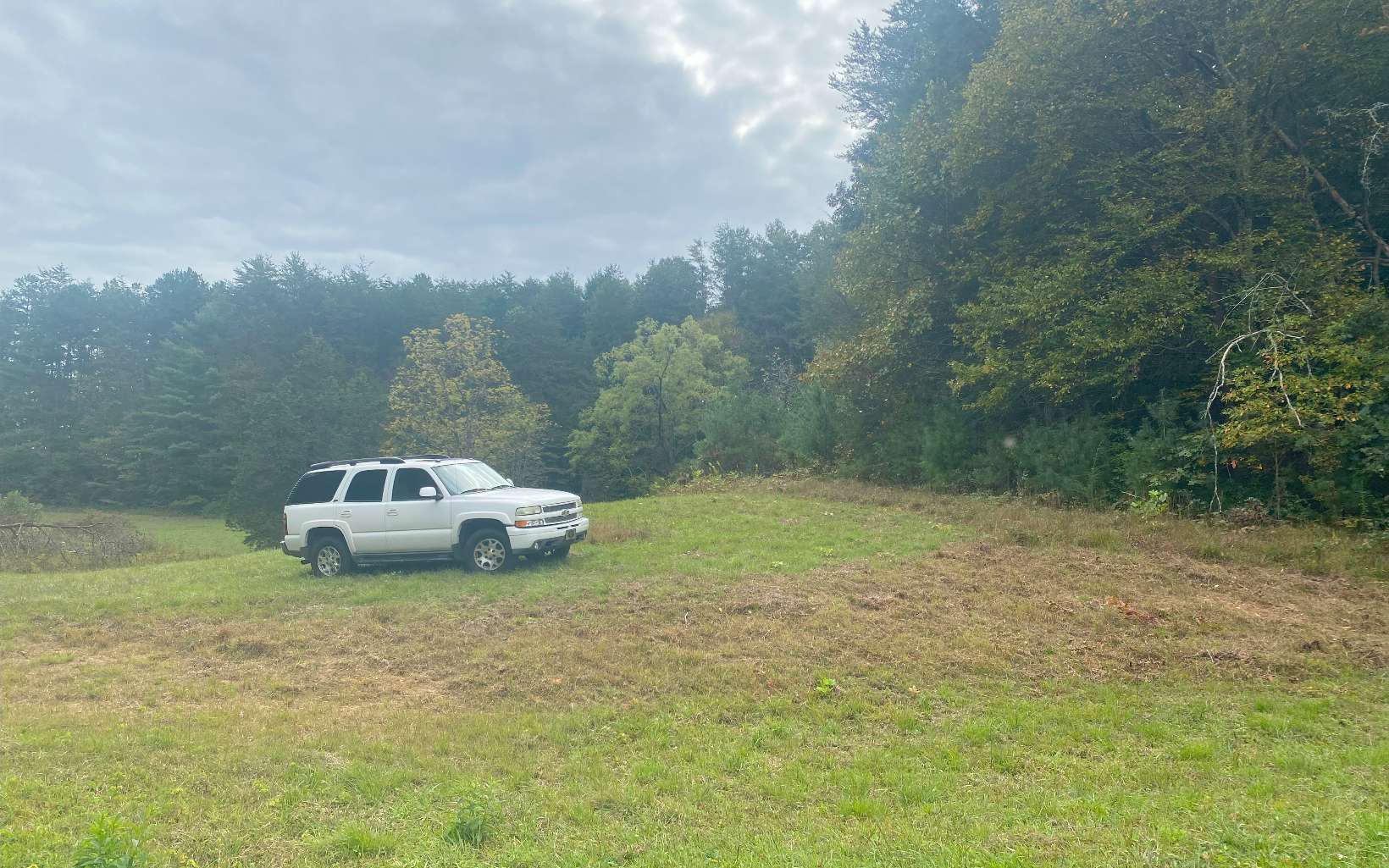 236 Willard Boring Road Murphy, NC 28906 - Photo 11 of 33 Additional View