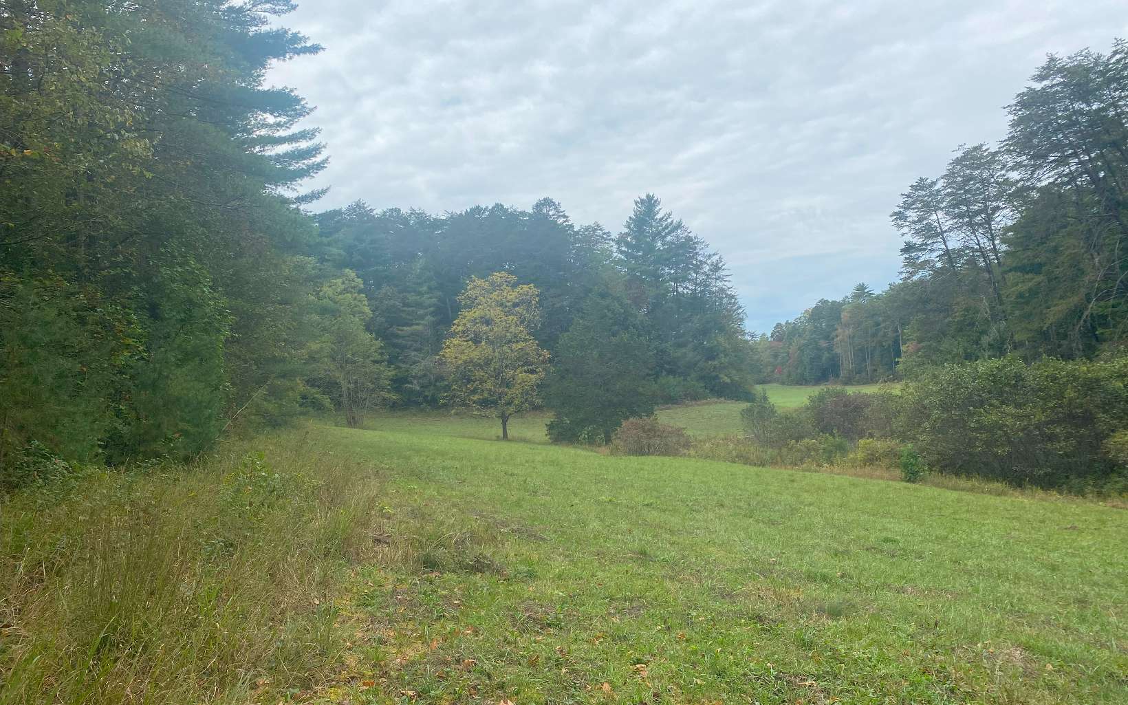 236 Willard Boring Road Murphy, NC 28906 - Photo 12 of 33 Additional View