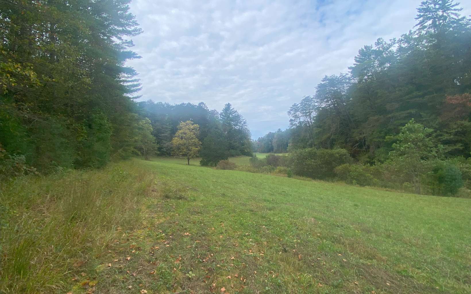 236 Willard Boring Road Murphy, NC 28906 - Photo 13 of 33 Additional View