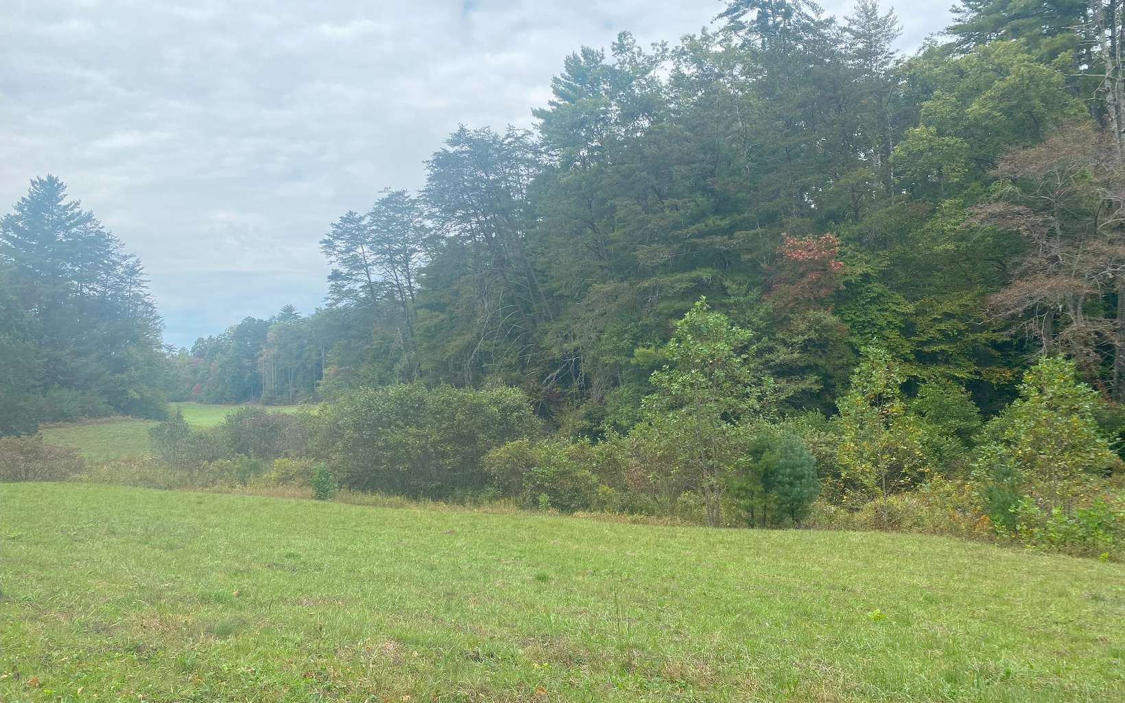 236 Willard Boring Road Murphy, NC 28906 - Photo 15 of 33 Additional View