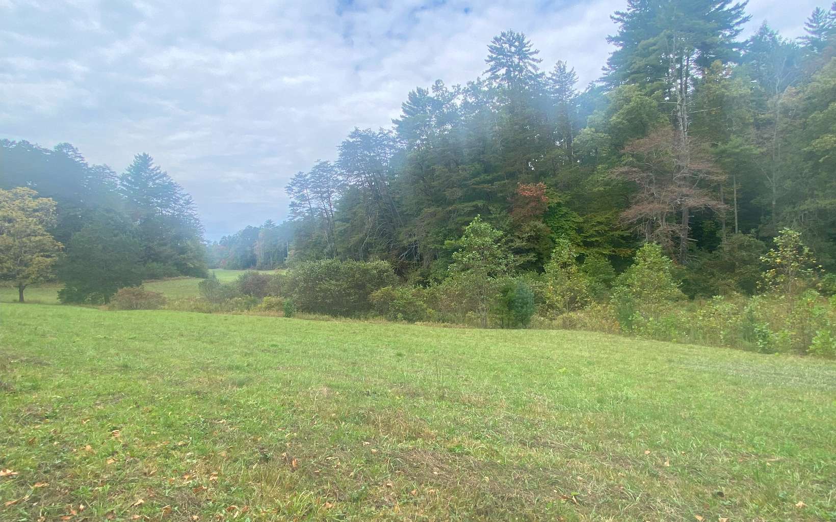 236 Willard Boring Road Murphy, NC 28906 - Photo 16 of 33 Additional View