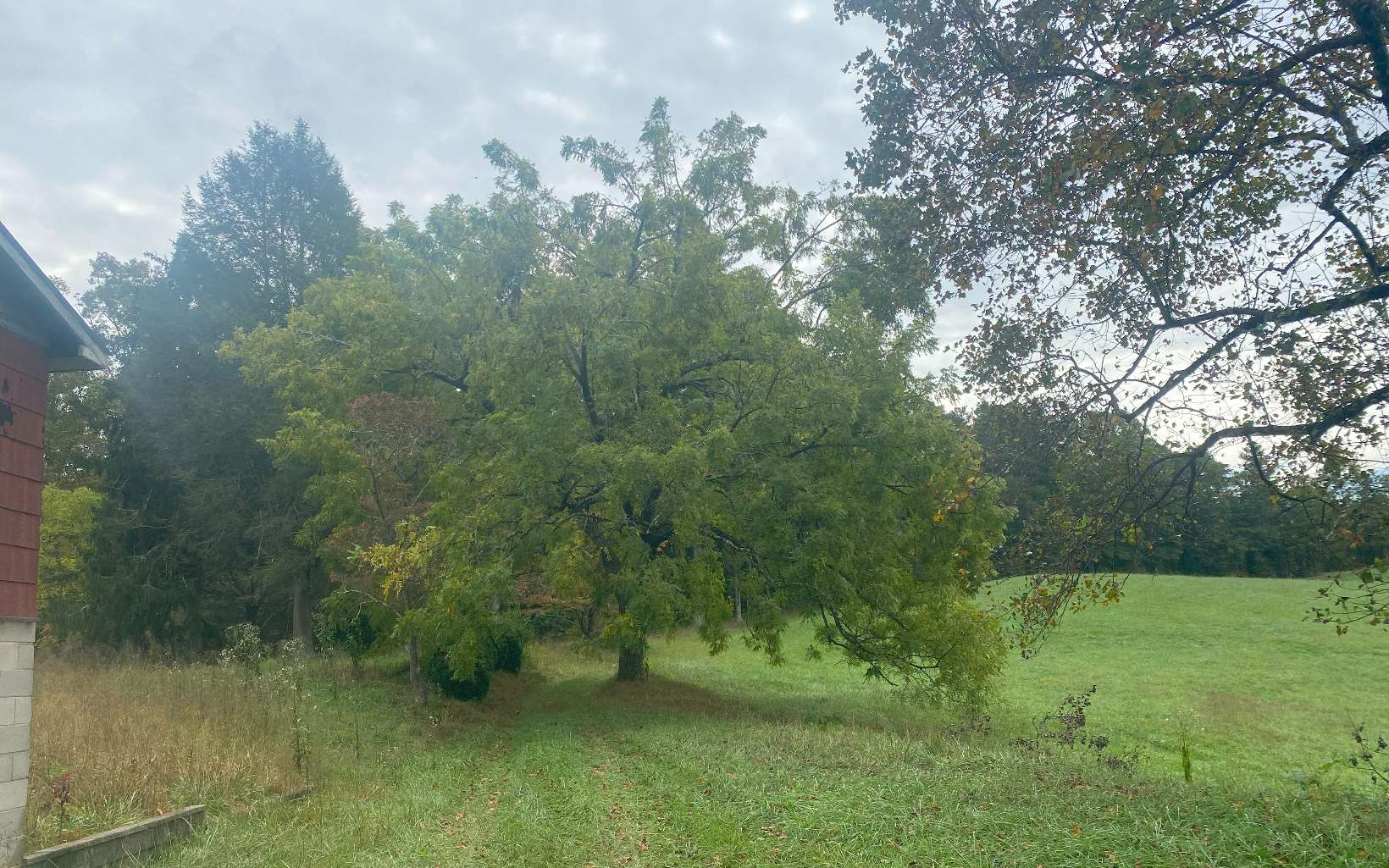 236 Willard Boring Road Murphy, NC 28906 - Photo 21 of 33 Additional View