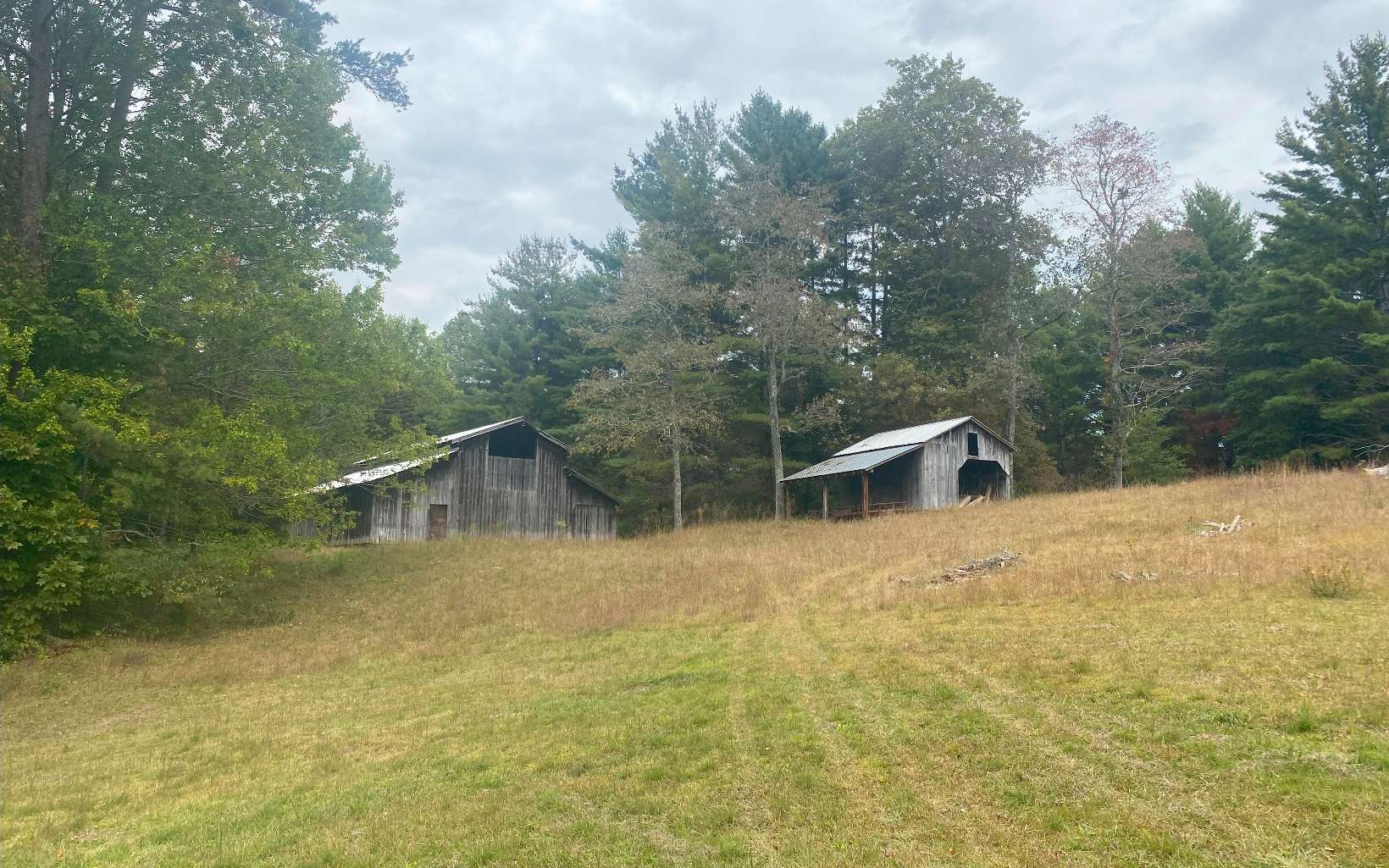 236 Willard Boring Road Murphy, NC 28906 - Photo 23 of 33 Additional View
