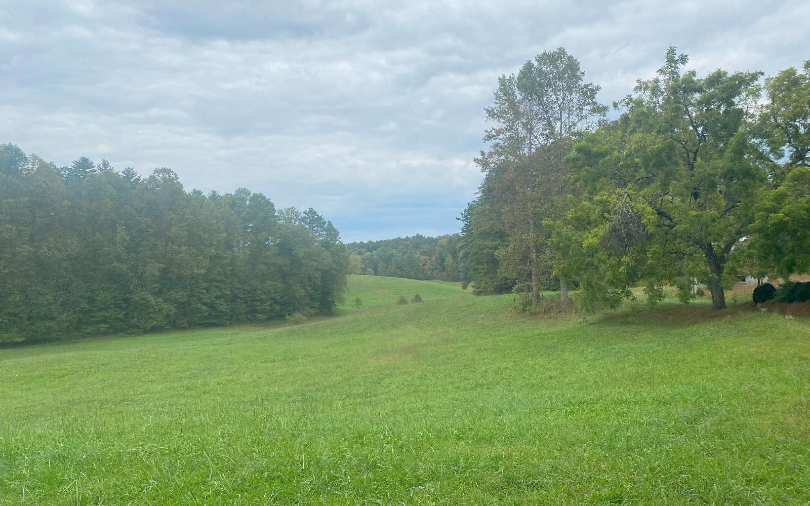 236 Willard Boring Road Murphy, NC 28906 - Photo 3 of 33 Additional View