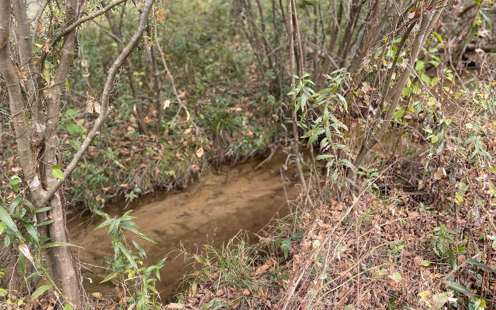 236 Willard Boring Road Murphy, NC 28906 - Photo 33 of 33 Additional View
