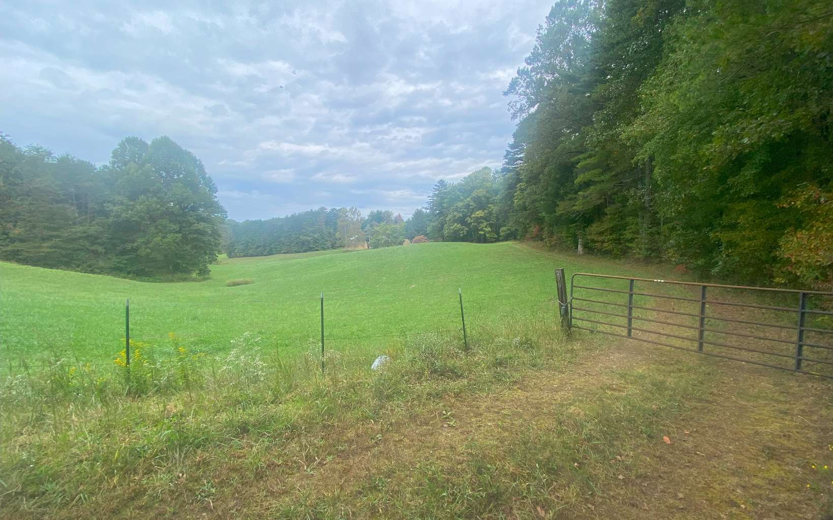 236 Willard Boring Road Murphy, NC 28906 - Photo 4 of 33 Additional View