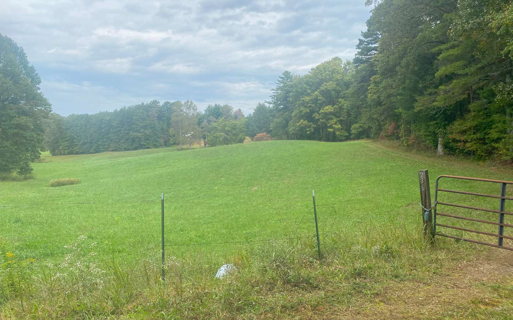 236 Willard Boring Road Murphy, NC 28906 - Photo 5 of 33 Additional View