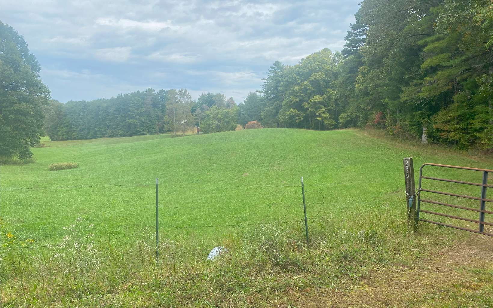 236 Willard Boring Road Murphy, NC 28906 - Photo 6 of 33 Additional View