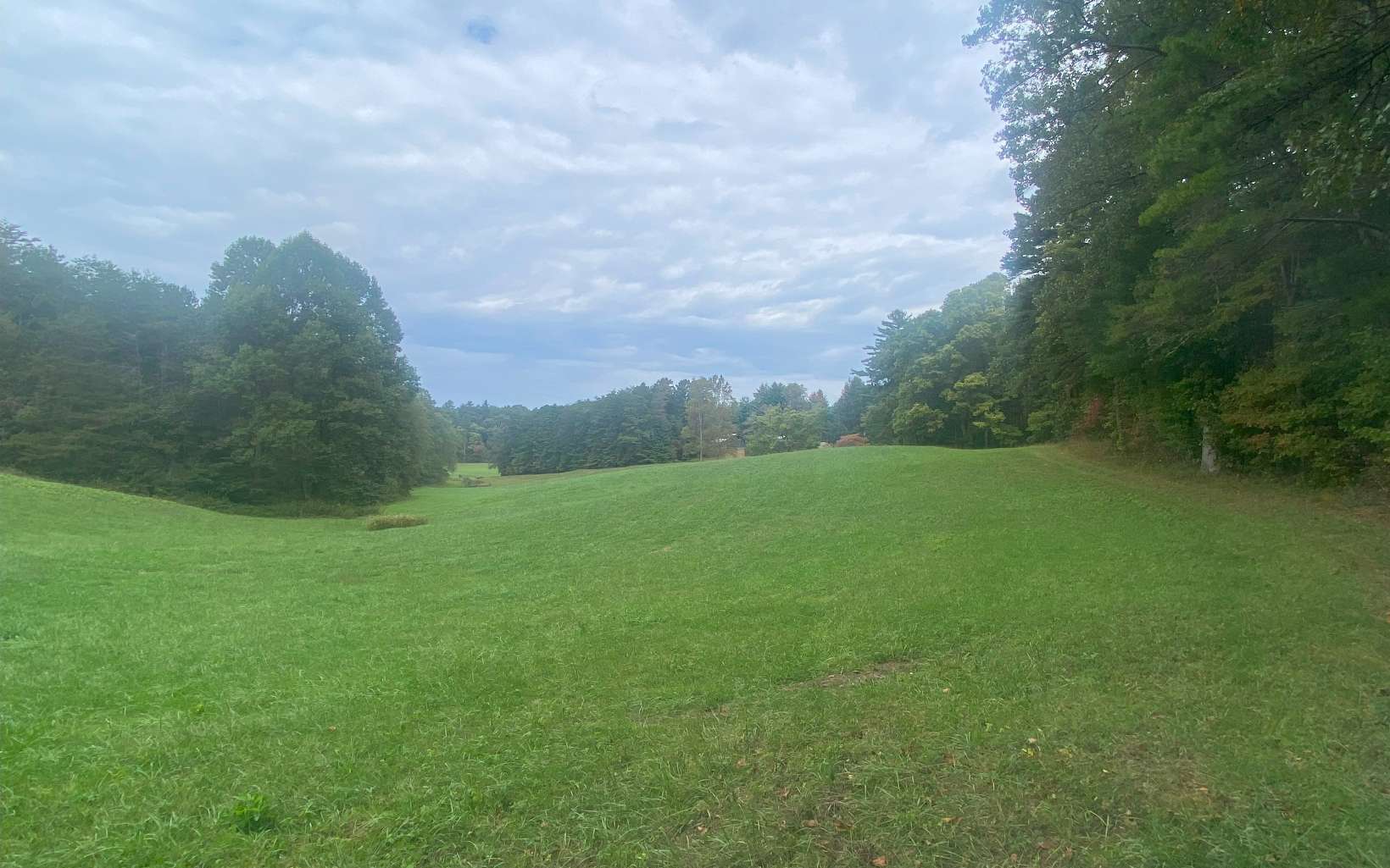236 Willard Boring Road Murphy, NC 28906 - Photo 7 of 33 Additional View