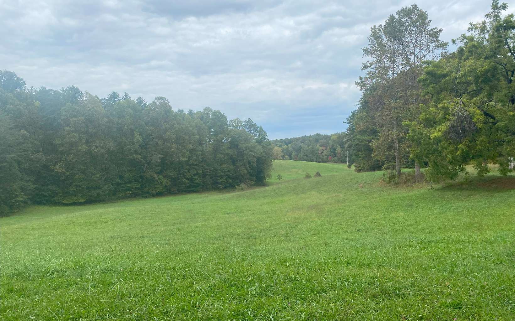 236 Willard Boring Road Murphy, NC 28906 - Photo 10 of 33 Additional View