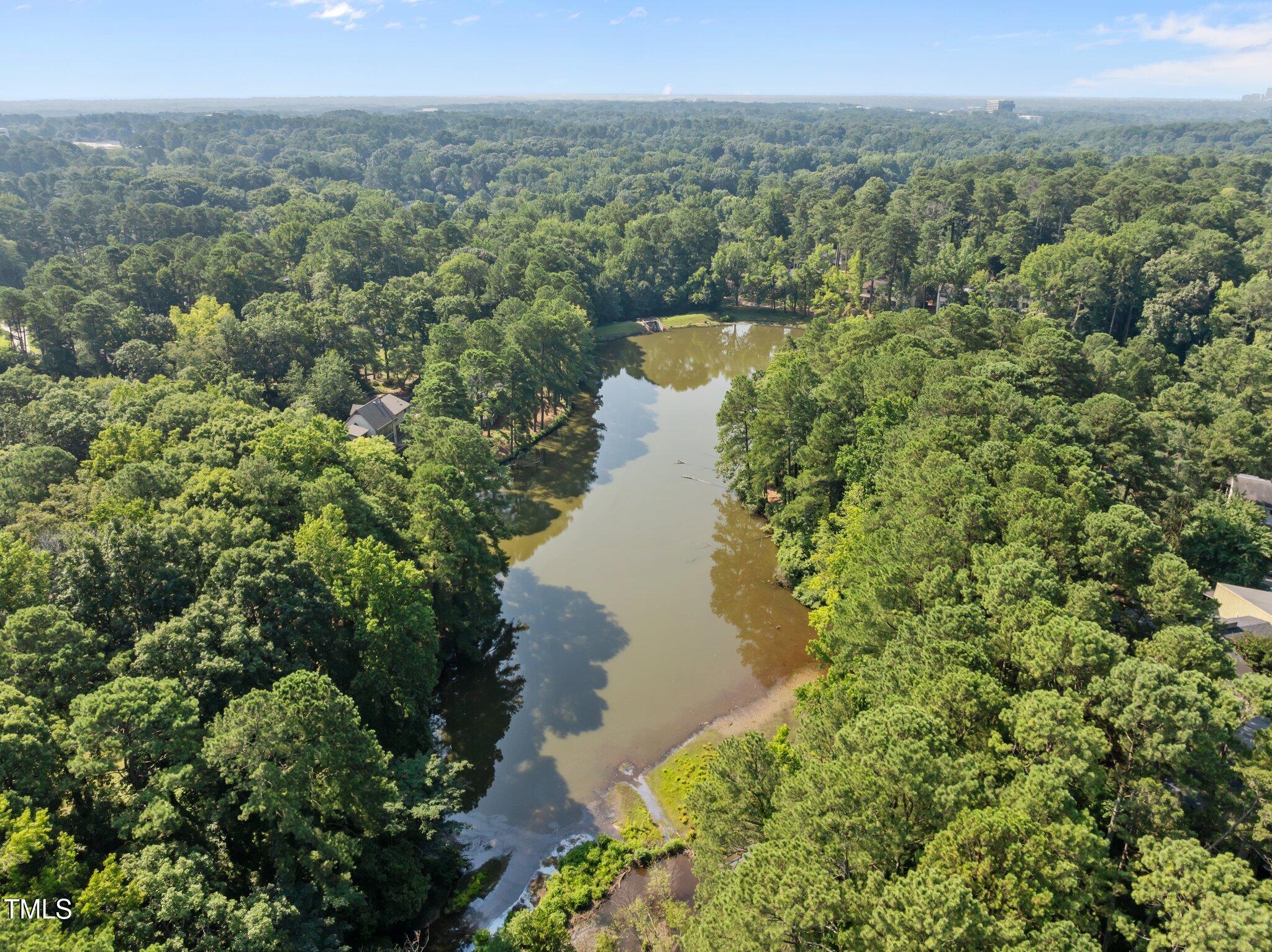 667 Pine Ridge Place Raleigh, NC 27609 - Photo 37 of 44 42-web-or-mls-DJI_0578