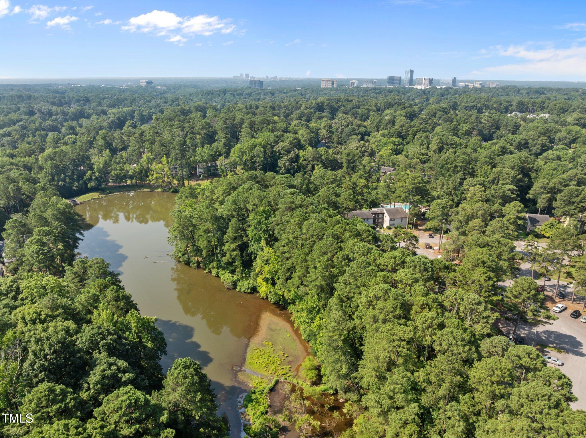 667 Pine Ridge Place Raleigh, NC 27609 - Photo 38 of 44 43-web-or-mls-DJI_0579