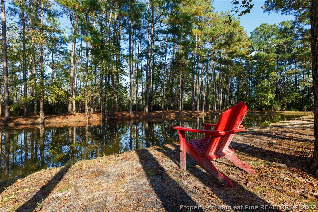 4215 Arabia Road Raeford, NC 28376 - Photo 35 of 35 Gallery Image 35