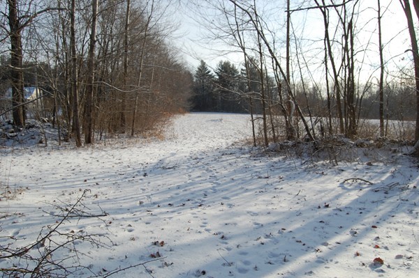 A Padre Road New Braintree, MA 01531 - Photo 1 of 6 Gallery Image 1