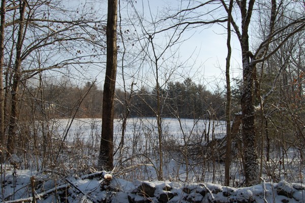 A Padre Road New Braintree, MA 01531 - Photo 3 of 6 Gallery Image 3