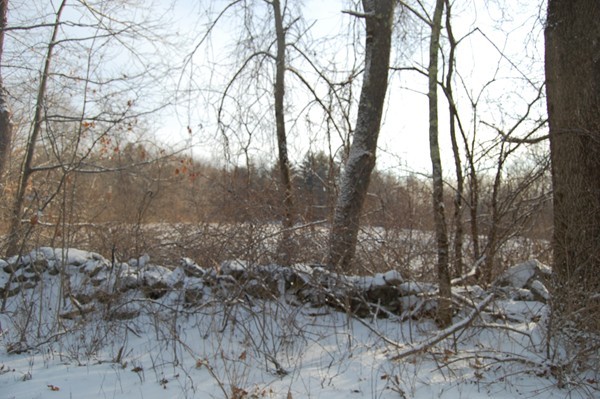 A Padre Road New Braintree, MA 01531 - Photo 4 of 6 Gallery Image 4