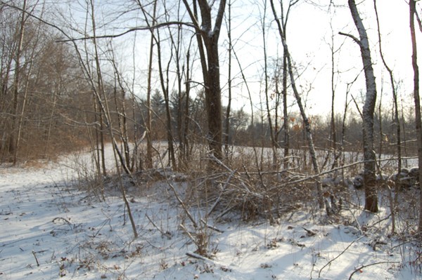 A Padre Road New Braintree, MA 01531 - Photo 5 of 6 Gallery Image 5