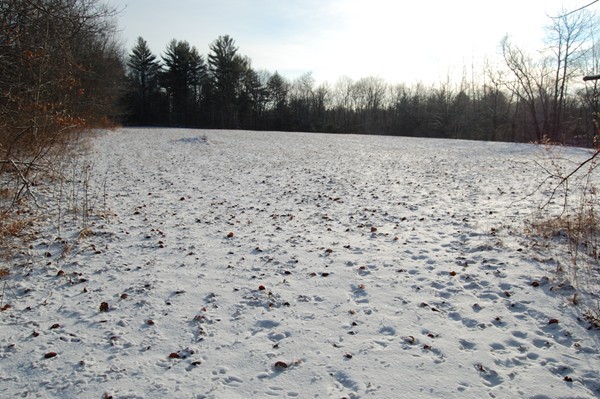 A Padre Road New Braintree, MA 01531 - Photo 6 of 6 Gallery Image 6