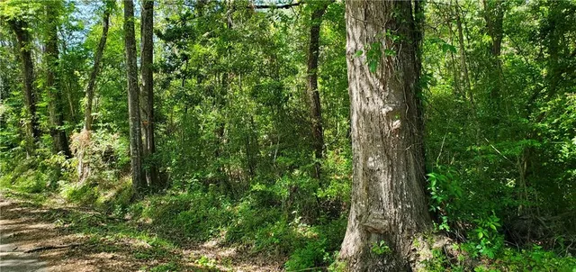 $45,000 | 81081 L Crawford Road, Bush, LA 70431