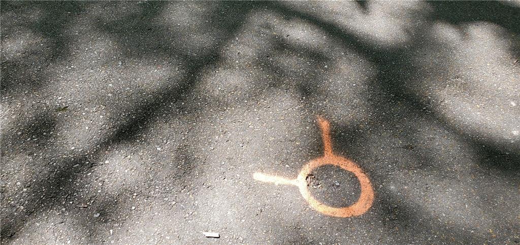 81081 L Crawford Road Bush, LA 70431 - Photo 7 of 9