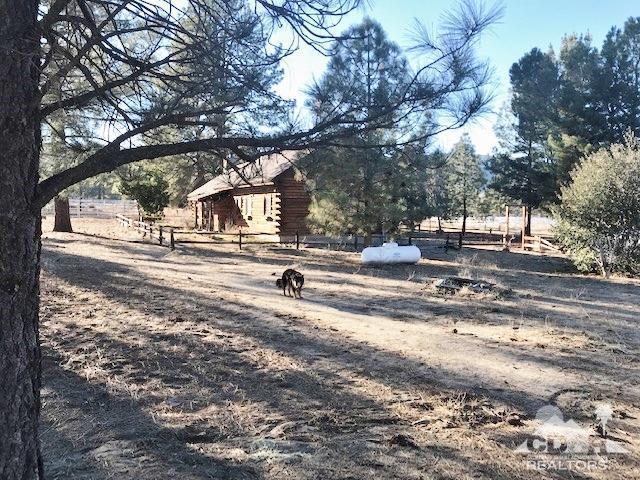 35155 Tool Box Spring Road Mountain Center, CA 92561 - Photo 15 of 27 a view of road with large trees