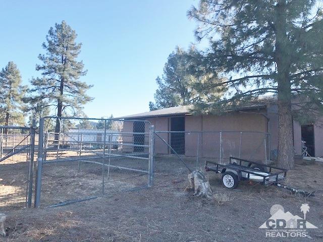35155 Tool Box Spring Road Mountain Center, CA 92561 - Photo 17 of 27 a view of a backyard with chairs and a large tree