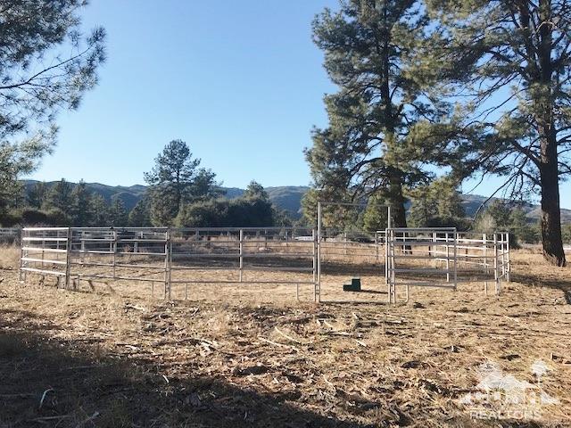 35155 Tool Box Spring Road Mountain Center, CA 92561 - Photo 23 of 27