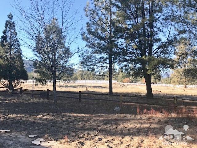 35155 Tool Box Spring Road Mountain Center, CA 92561 - Photo 25 of 27 a view of yard covered with snow