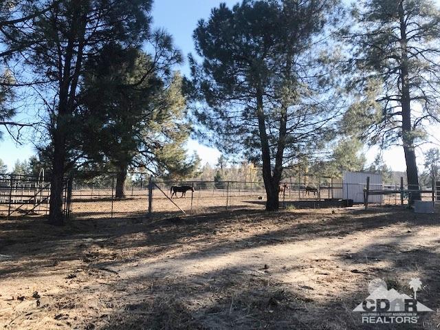 35155 Tool Box Spring Road Mountain Center, CA 92561 - Photo 26 of 27 a view of a yard with wooden fence