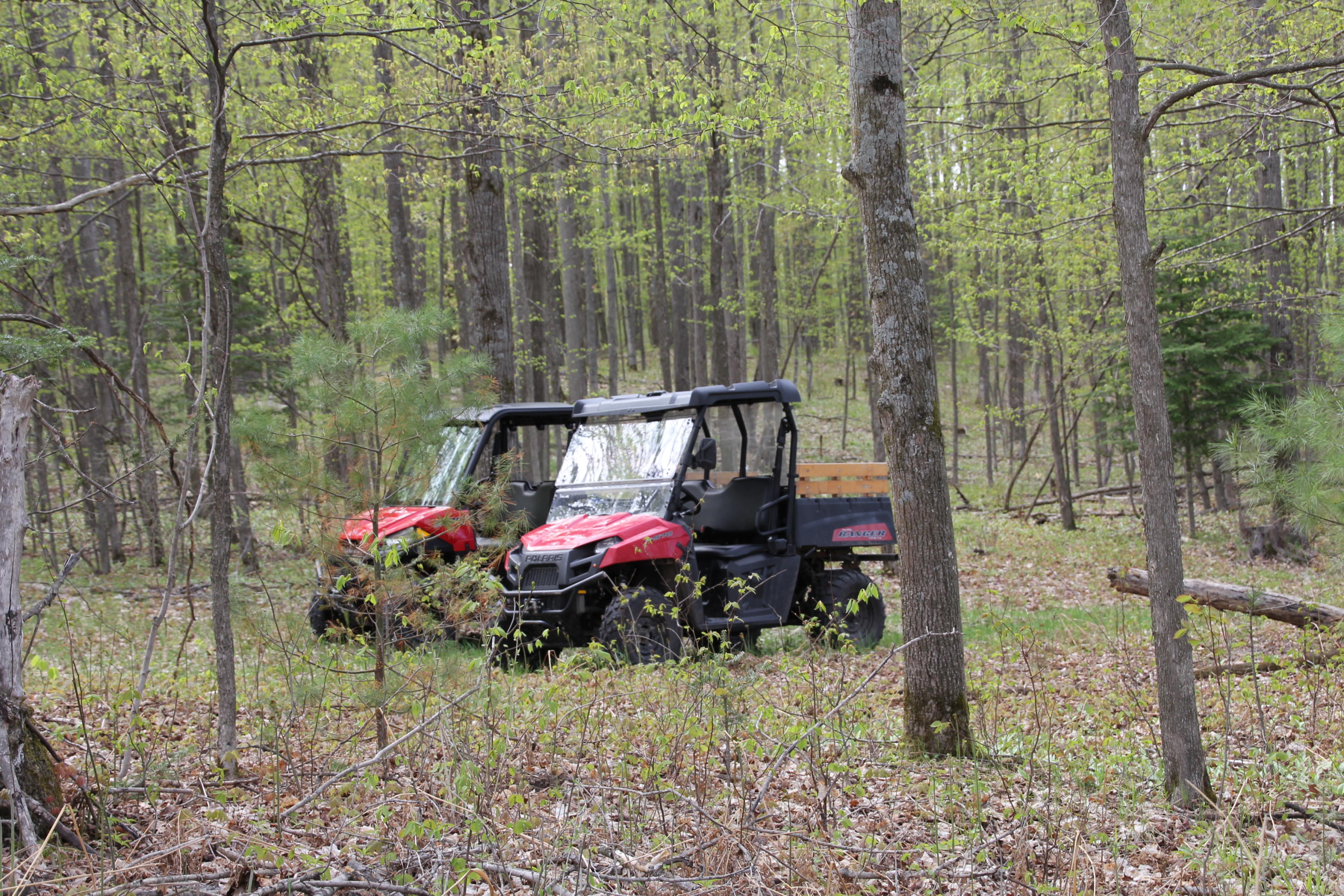 Hall Road Atlanta, MI 49709 - Photo 9 of 62 Gallery Image 9
