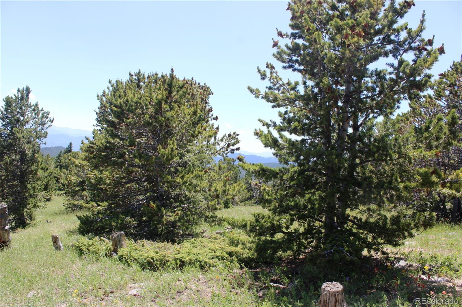 1595 Missouri Gulch Road Black Hawk, CO 80422 - Photo 29 of 49