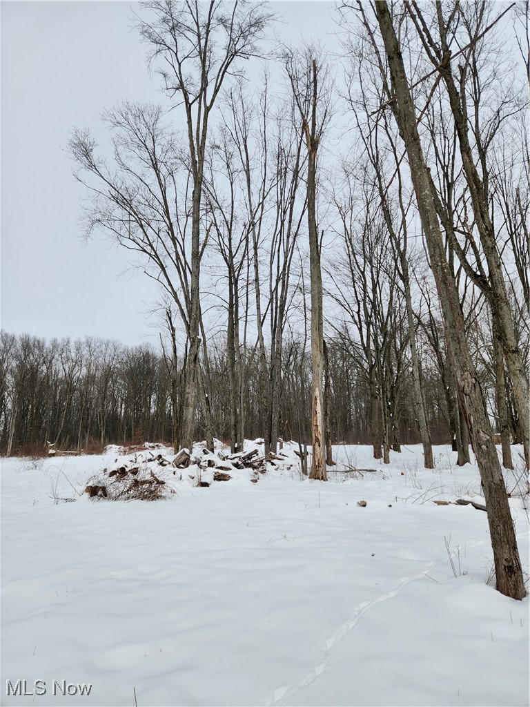 Royalton Road Columbia Station, OH 44028 - Photo 9 of 13 Yard layered in snow featuring a wooded view