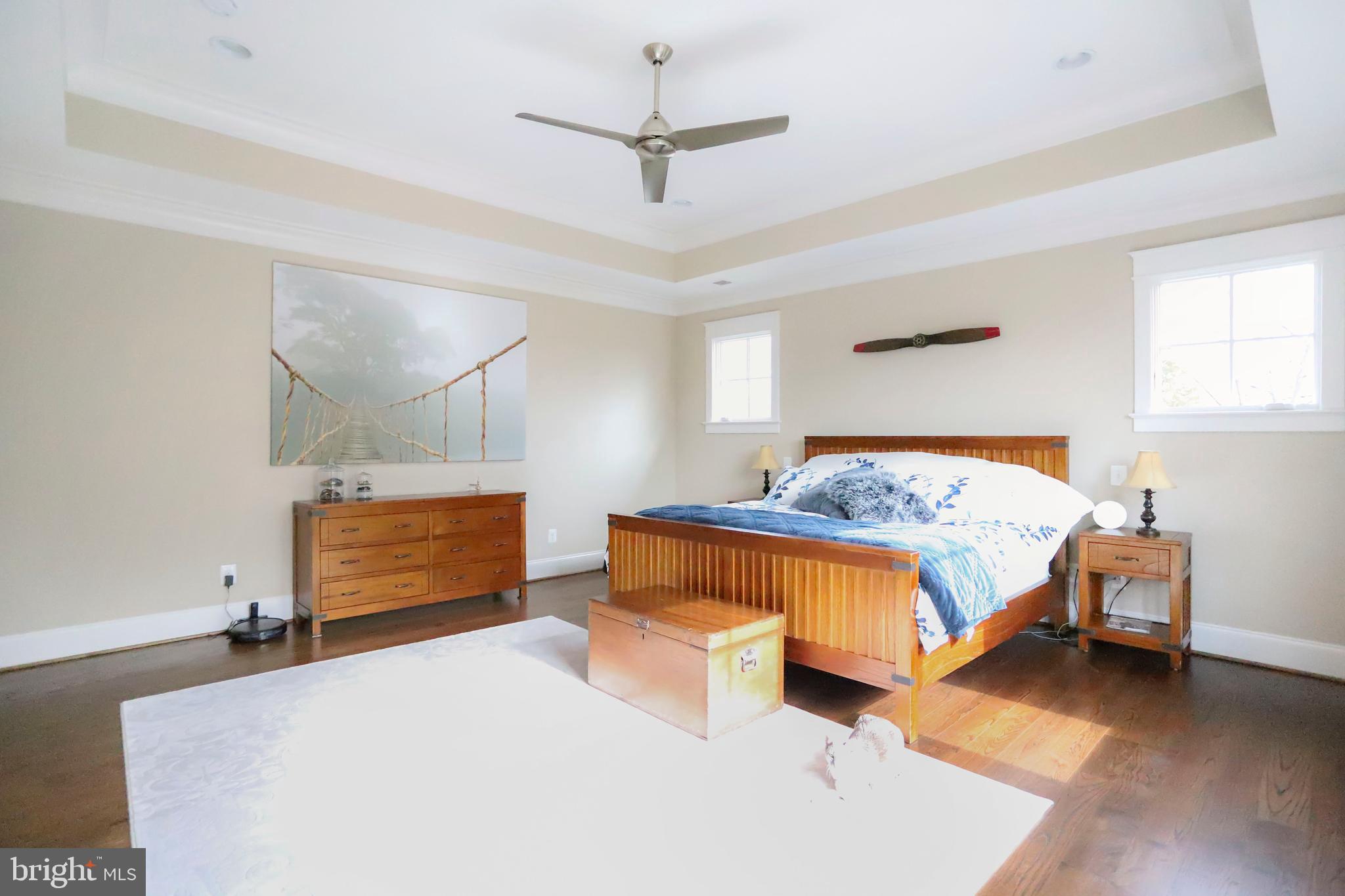 6719 Van Fleet Drive McLean, VA 22101 - Photo 20 of 37 Master BR has Tray Ceiling