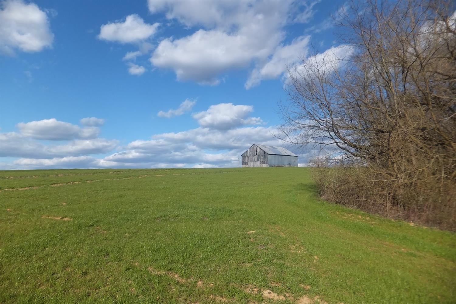 2500 Van Thompson Road Mount Sterling, KY 40353 - Photo 6 of 8 Photo 7